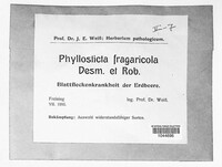 Phyllosticta fragariicola image